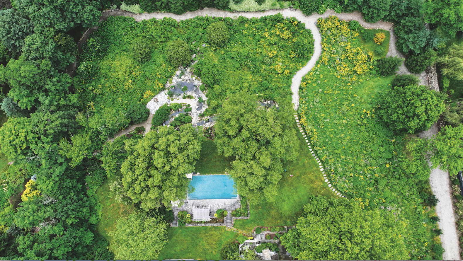 Steve Zatz's Native Meadow — Bedford & New Canaan Magazine